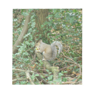 Eichhörnchen mit Acorn Notepad Notizblock