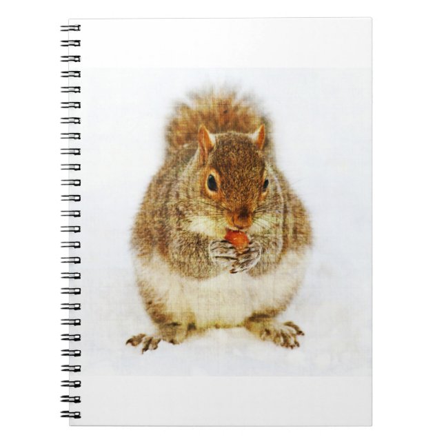 Eichhörnchen mit Acorn Notizblock (Vorderseite)
