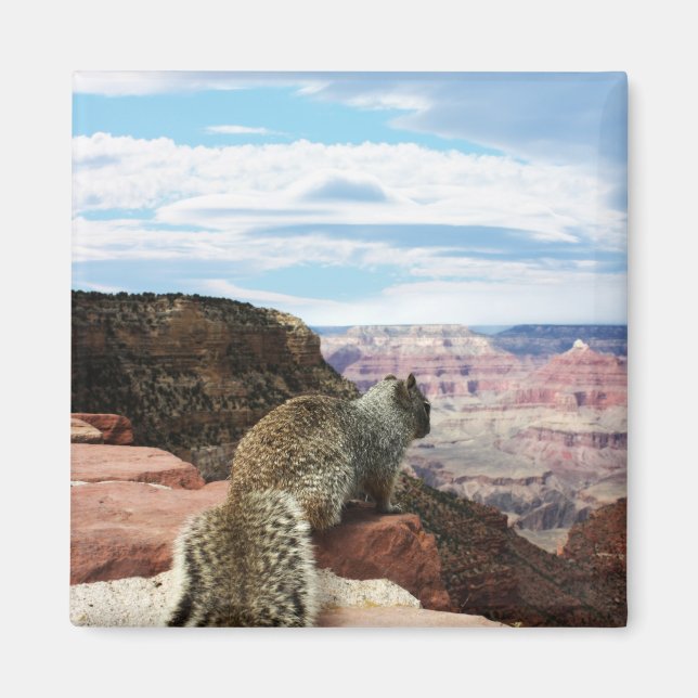 Eichhörnchen mit Blick auf den Grand Canyon, Arizo Magnet (Vorne)