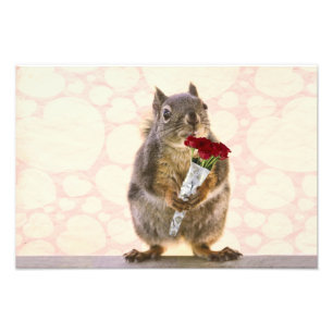 Eichhörnchen mit Bouquet von Rote Rosen Fotodruck