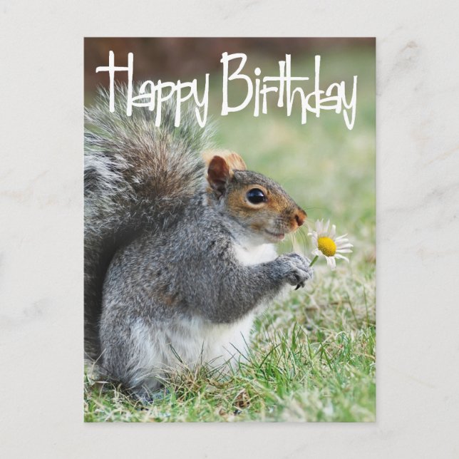 Eichhörnchen mit Daisy Happy Birthday Postcard Postkarte (Vorderseite)