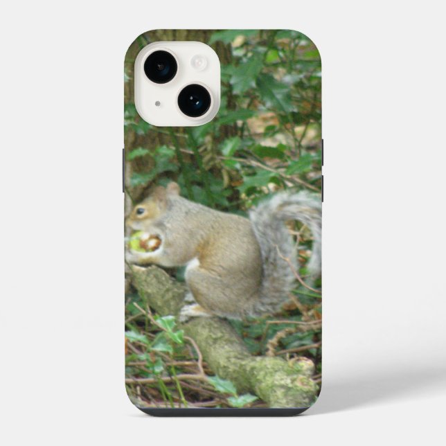 Eichhörnchen mit Eichel iPhone Hülle (Rückseite)