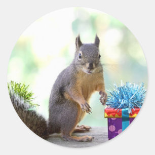 Eichhörnchen mit eingewickelten Geschenken Runder Aufkleber