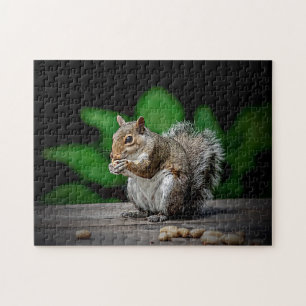 Eichhörnchen mit Erdnüssen