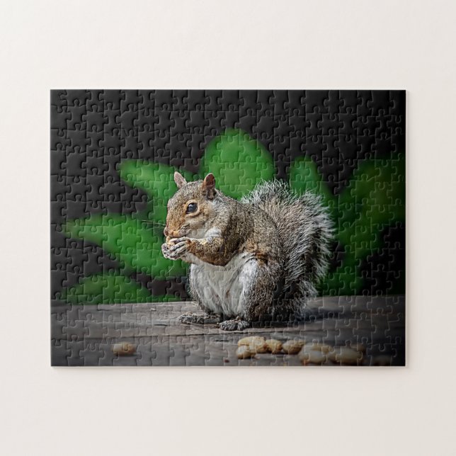Eichhörnchen mit Erdnüssen (Horizontal)