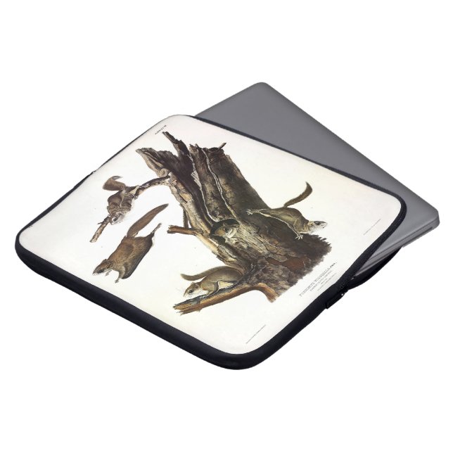 Eichhörnchen mit gemeinsamem oder südlichem Flying Laptopschutzhülle (Vorne Oben)