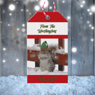 Eichhörnchen mit grüner Mütze Schnee Rot und Weiß Geschenkanhänger