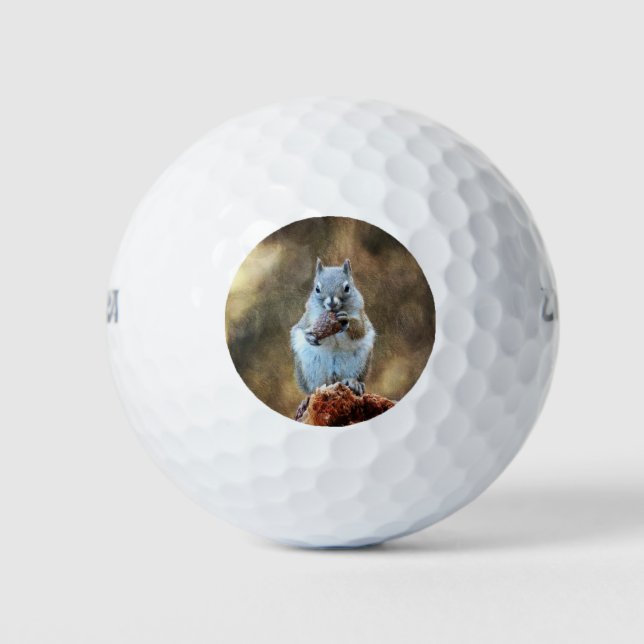 Eichhörnchen mit Kiefernkone Golfball (Vorderseite)