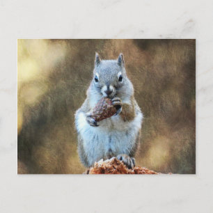 Eichhörnchen mit Kiefernkone Postkarte