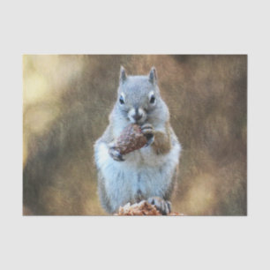 Eichhörnchen mit Kiefernkone Seidenpapier