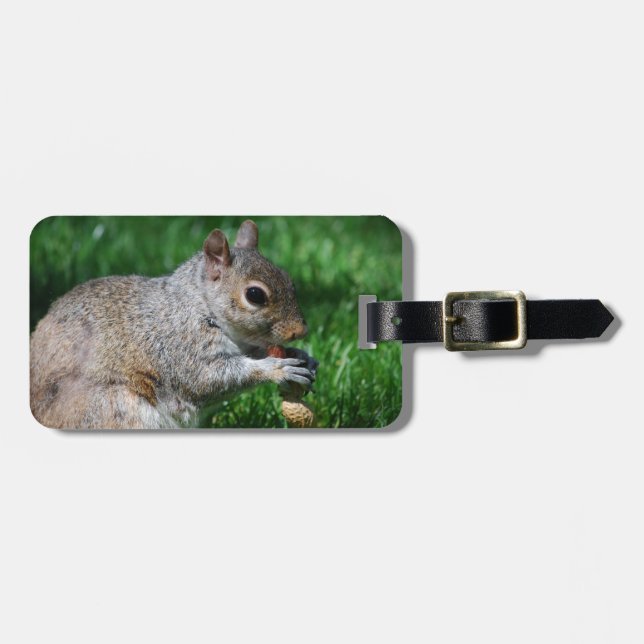 Eichhörnchen mit Nuss-Gepäckanhänger Gepäckanhänger (Vorderseite horizontal)