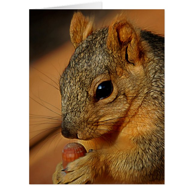 Eichhörnchen mit Nut (Vorderseite)