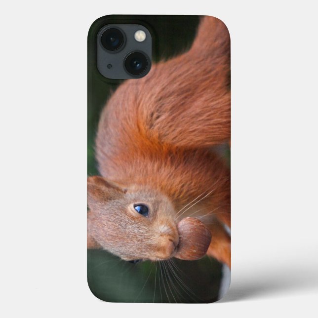 Eichhörnchen mit Nut iPad Case (Rückseite)
