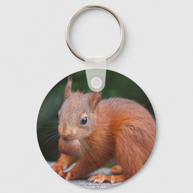 Eichhörnchen mit Nut Keyring Schlüsselanhänger (Vorderseite)