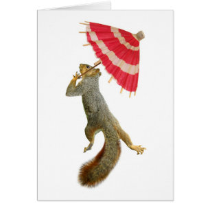 Eichhörnchen mit Parasolkarte