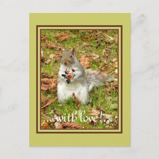 Eichhörnchen mit Rose Postkarte (Vorderseite)