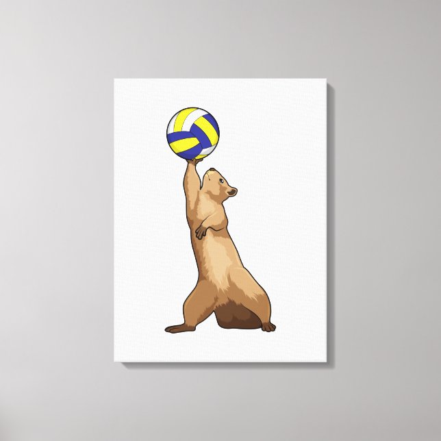 Eichhörnchen mit Volleyball Leinwanddruck (Vorderseite)