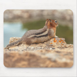 Eichhörnchen Mousepad
