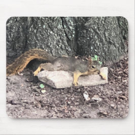 Eichhörnchen Mousepad