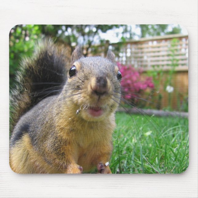 Eichhörnchen-Nahaufnahme Mousepad (Vorne)