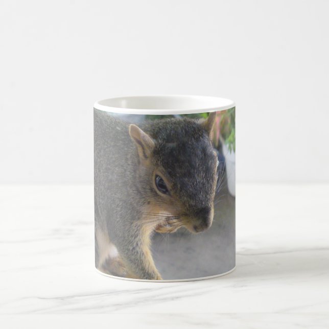 Eichhörnchen Nahe Tasse (Mittel)