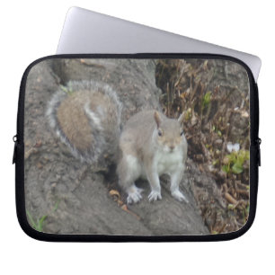 Eichhörnchen Neopren Laptop-Sieb 10 Zoll Laptopschutzhülle