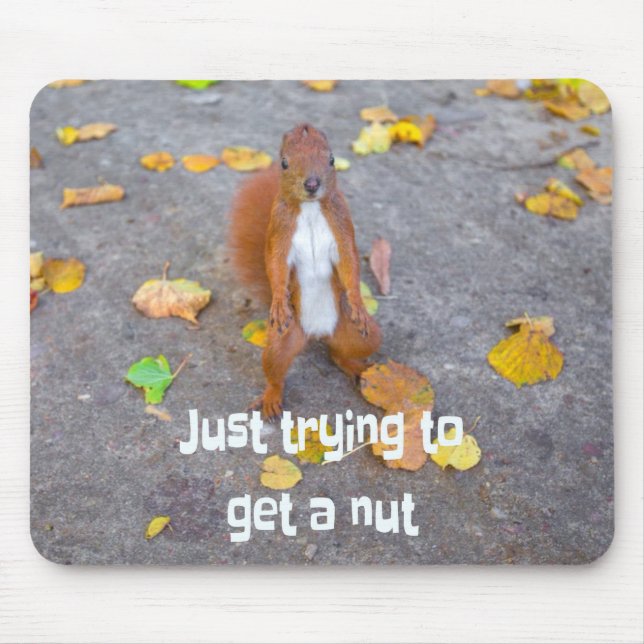 Eichhörnchen Nur beim Versuch, eine Nuss zu bekomm Mousepad (Vorne)