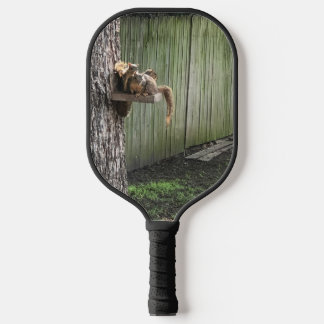 Eichhörnchen Pickleball Schläger