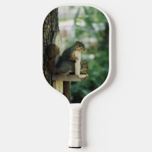 Eichhörnchen Pickleball Schläger