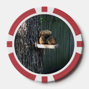Eichhörnchen Pokerchips