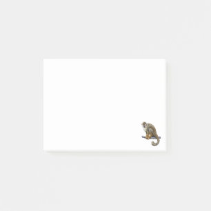 Eichhörnchen Post-it Klebezettel