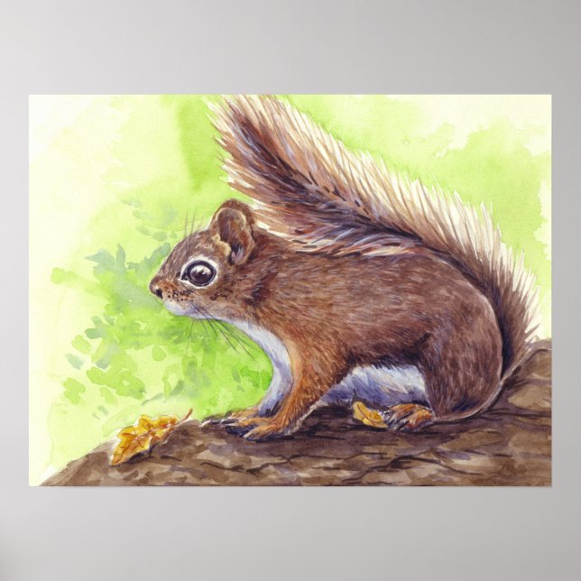 Eichhörnchen Poster (Vorne)