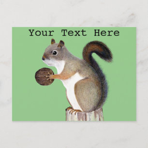 Eichhörnchen Postkarte
