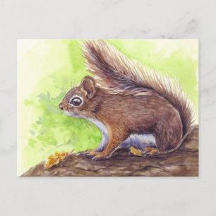 Eichhörnchen Postkarte