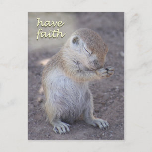Eichhörnchen-Postkarte Postkarte