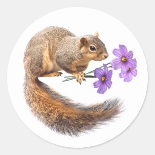 Eichhörnchen Purple Flowers Aufkleber