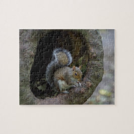 Eichhörnchen-Puzzle