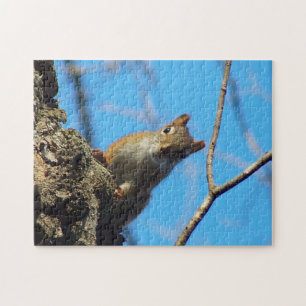 Eichhörnchen-Puzzle