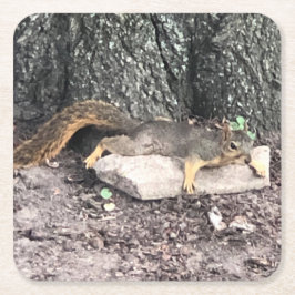 Eichhörnchen Rechteckiger Pappuntersetzer