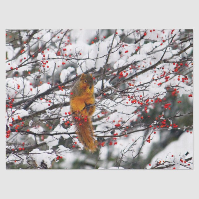 Eichhörnchen Red Berries Snow Tree Foto Seidenpapier (Vorderseite)