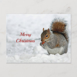 Eichhörnchen Red Berry Snow Foto Weihnachten Postkarte