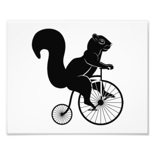 Eichhörnchen-Reiter auf altem Fahrrad Fotodruck