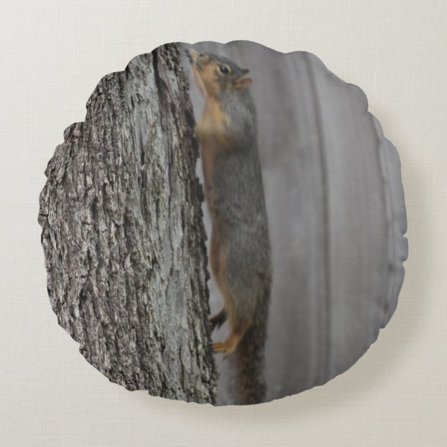 Eichhörnchen Rundes Kissen (Vorderseite)
