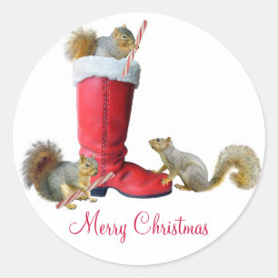 Eichhörnchen Sankt in den Stiefel-Aufklebern Runder Aufkleber