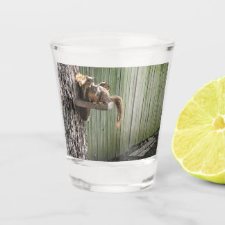Eichhörnchen Schnapsglas