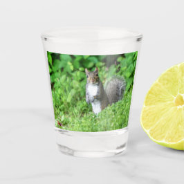 Eichhörnchen Schnapsglas