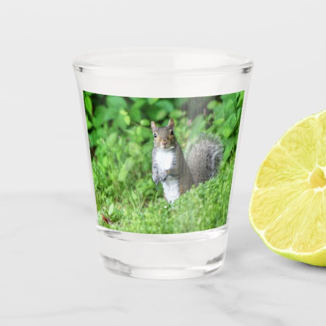 Eichhörnchen Schnapsglas (Vorderseite)