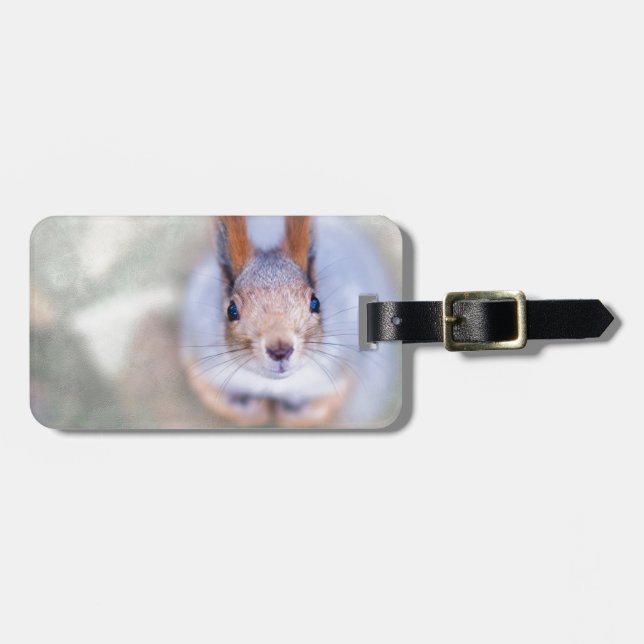 Eichhörnchen sieht dich von unten nach oben an gepäckanhänger (Vorderseite horizontal)