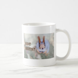 Eichhörnchen sieht dich von unten nach oben an kaffeetasse