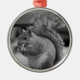 Eichhörnchen Silbernes Ornament